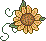 sunflower graphic